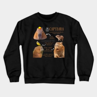 Animal Facts - Capybara Crewneck Sweatshirt